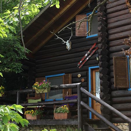 B&B Le Corone - Chalet Nel Bosco Cavalo Exterior photo