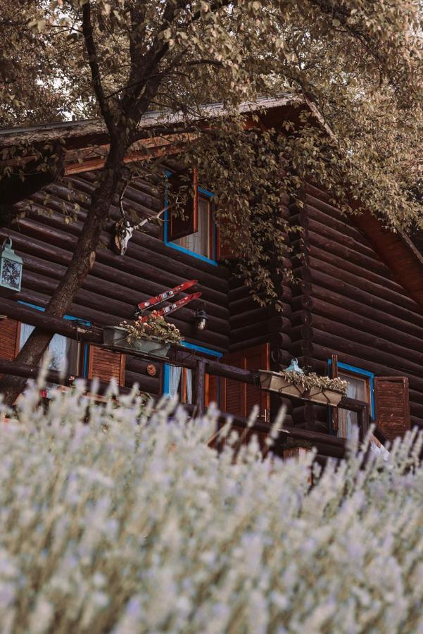 B&B Le Corone - Chalet Nel Bosco Cavalo Exterior photo